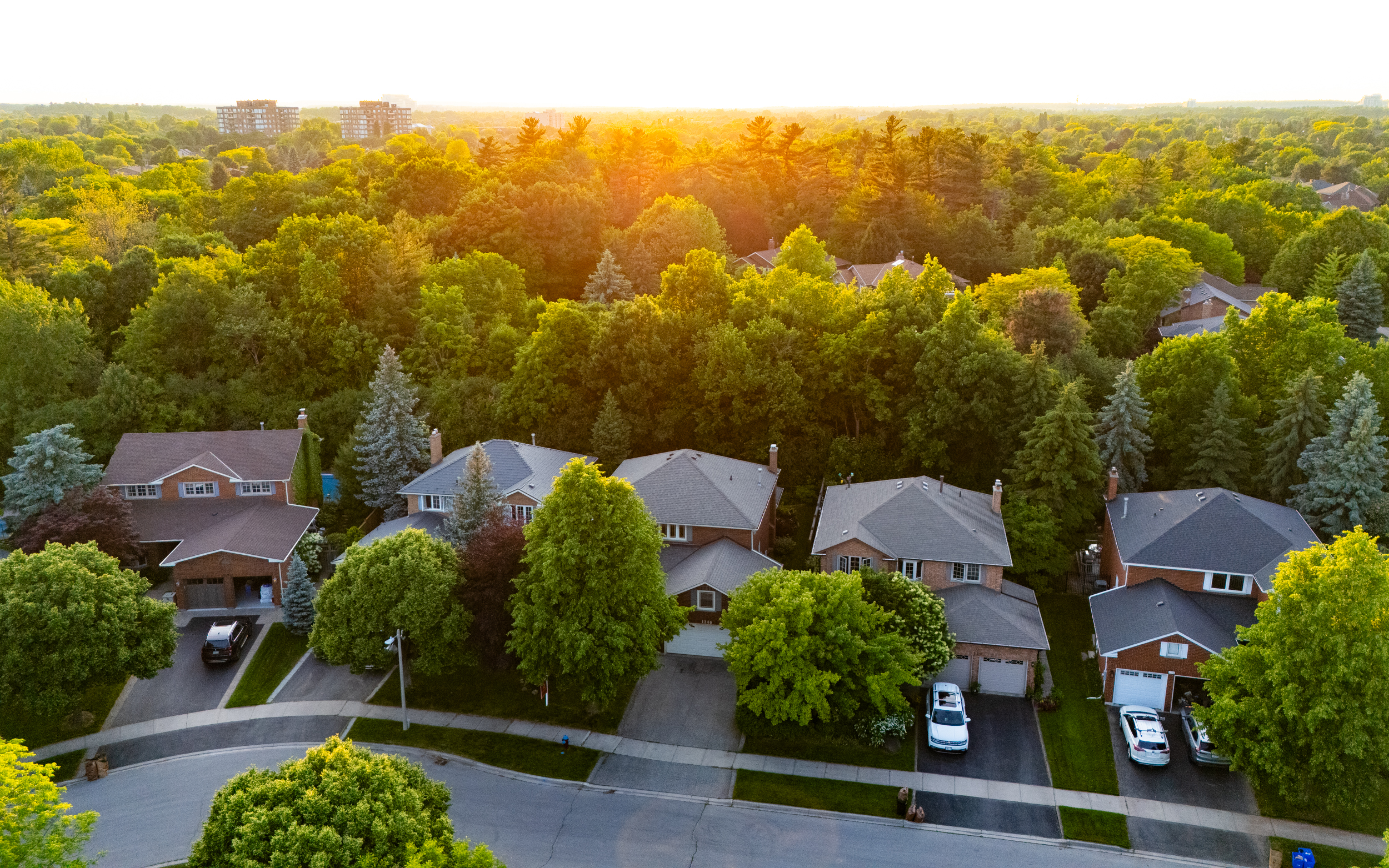 1246 Old Carriage Way